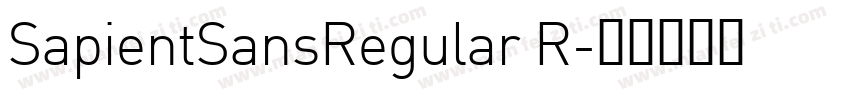 SapientSansRegular R字体转换